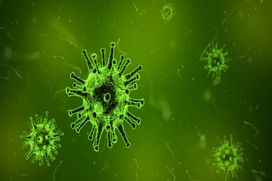 Coronavirus (2019-nCoV): epidemia o pandemia?